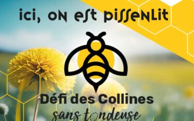 Défi des Collines sans tondeuse!