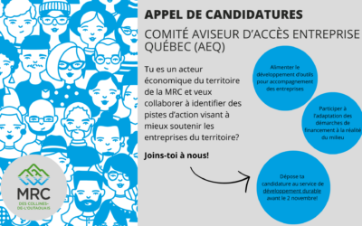 Appel de candidatures, Comité AEQ