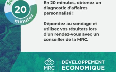 Enquête – Mon diagnostic d’affaires